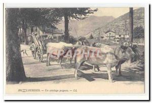 Lourdes Old Postcard A peasant hitch (oxen) TOP