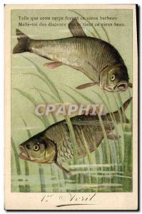 Old Postcard Fish Fish Carp Barbeau