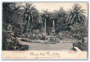 1903 Fountain Trees Botanical Garden Tenerife Spain Antique Posted Postcard