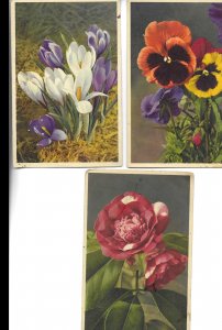 Beautiful flowers Lot of three (3) old vintage, artist drawn, Swiss postcards