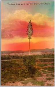 The Lone Mesa Land Near Las Cruces New Mexico NM Plants Hand-Colored Postcard