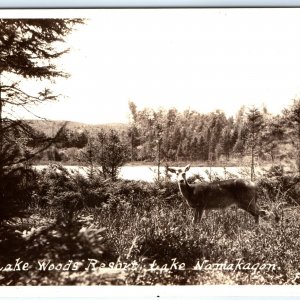 c1930s Lake Namakagon, Bayfield County, WI RPPC Deer Woods Resort Photo Wis A149