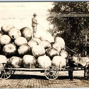 1908 Load of Good Missouri Apple RPPC Exaggerated Real Photo Kansas City, MO A71