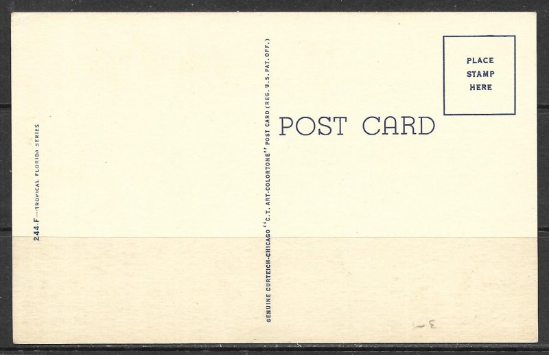 Florida - Come To Florida Map - [FL-245]