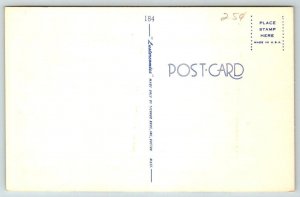 Hello! From Booger Hollow,  Arkansas  Comic Humor   Postcard