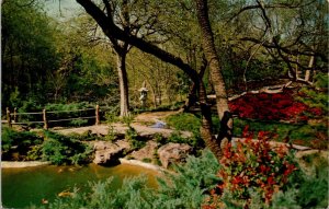 Texas, Forth Worth - Japanese Botanic Garden  - [TX-110]