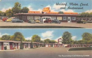 WALDORF MOTOR COURT & RESTAURANT MARYLAND ADVERTISING POSTCARD 1955
