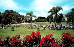 Florida Venice Warm Mineral Springs