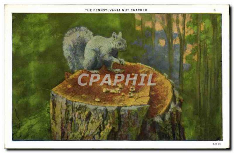 Old Postcard The Pennsylvania Squirrel Nut Cracker