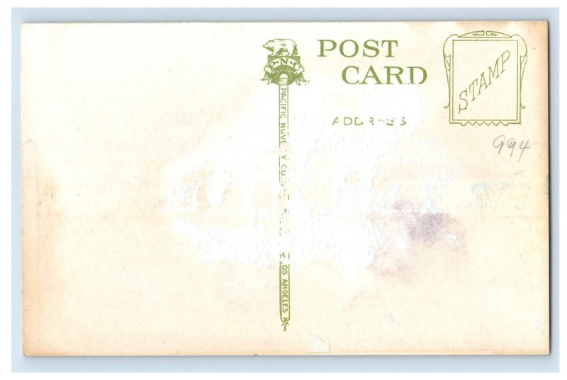 Vintage Southern Pacific Depot Santa Rosa California. Postcard P167E