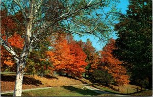 Vermont, Rutland - Beautiful Fall Setting - [VT-095]