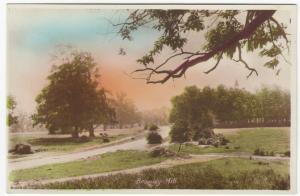 London; Bromley Hill RP PPC Unused, c 1920's, Hand Tinted 