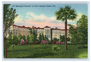 Vintage Municipal Hostital On Davis Islands Tampa Fla Postcard P173E