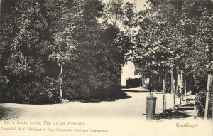 chile, SANTIAGO, Cerro Santa Lucia, Una de las Avenidas 1900s Kirsinger Postcard