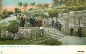 C-1910 Hot Springs Arkansas Hale Hot Springs Tuck undivided postcard 1652