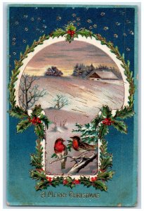 c1910's Merry Christmas Song Birds Berries House Winter Embossed Posted Postcard