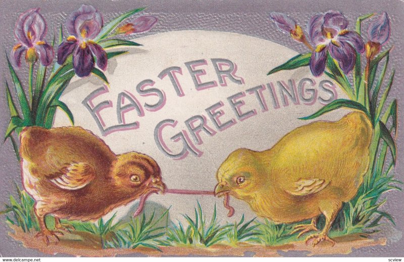 EASTER, 1900-10s; Greetings, Chicks tug-o-war with worm, Iris Flowers, Silver...