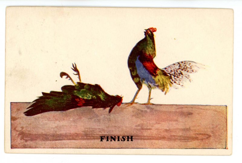 Finish   Cock Fighting