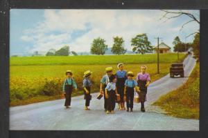 Pennsylvania Dutch Country,Amish Postcard 