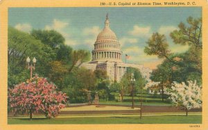 Washington DC  US Capitol at Blossom Time Linen Postcard Unused