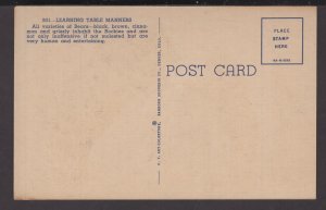 Bears Learning Table Manners are very human and entertaining ~ Linen