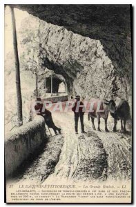 Old Postcard The Dauphine The Great Narrow Picturesque Cows