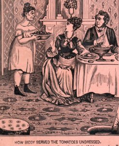 1880s Comical Adult Humor How Biddy Served The Tomatoes Undressed P135