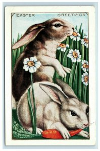 c. 1906 Adorable Easter Greetings Postcard Rabbits Carrot Whitney Made Undivided 