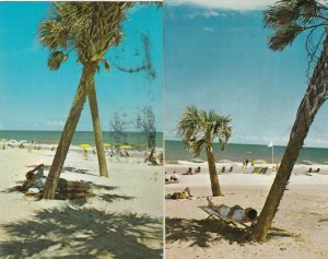 MYRTLE BEACH, South Carolina, 50-60s, Man under palm trees, 2 postcards