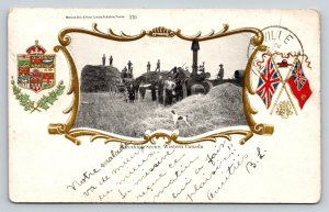 1905 Threshing Scene  Tractor  Hay   GSP Dog  Farmers  Western Canada   Postcard