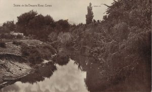 South Africa Scene on the Dwaars River Ceres RPPC  06.44