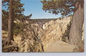 Lower Falls From Moran Point, Yellowstone National Park Wyoming, Chrome Postcard