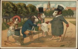 Fantasy Fancy Guinea Pigs Suits & Top Hats Boy Plays Prank c1905 Postcard