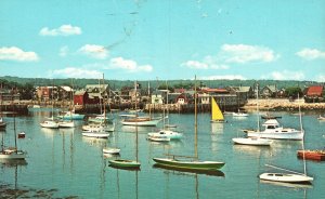 Vintage Postcard Harbor View Motif #1 Bearskin Neck Rockport Massachusetts MA
