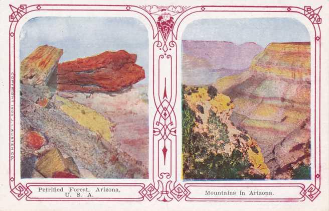 Petrified Forest AZ Mountains in Arizona DB