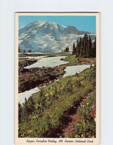 Postcard Upper Paradise Valley, Mt. Rainier National Park, Washington