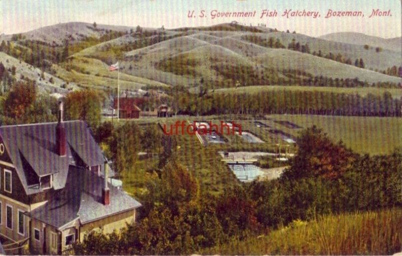 U. S. GOVERNMENT FISH HATCHERY, BOZEMAN, MT 1908