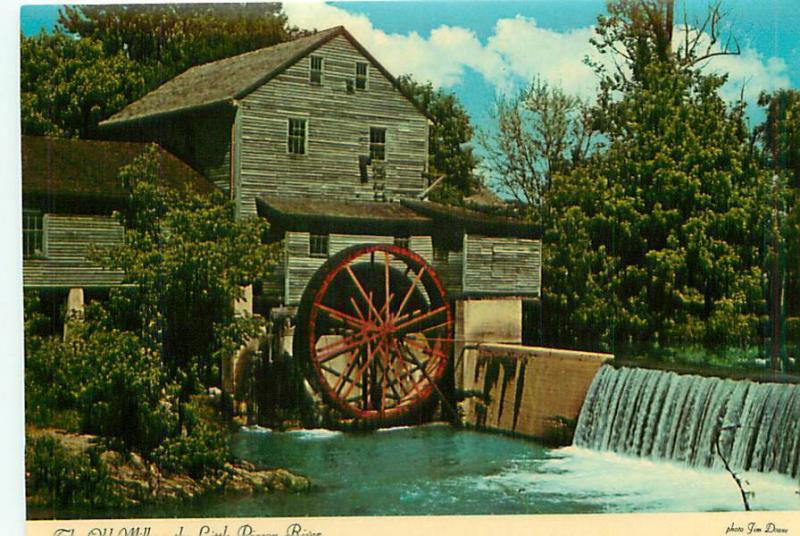 Postcard North Carolina Charlotte Old Water Mill Little Pigeon River  # 2909A