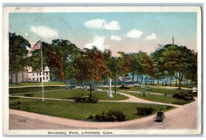 1919 US Flag Shrubbery Park Litchfield Connecticut CT Wheeler Pharmacy Postcard 