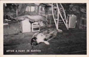 Alaska After A Seal Hunt 1949