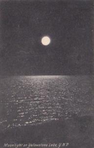 Moonlight On Yellowstone Lake Yellowstone National Park