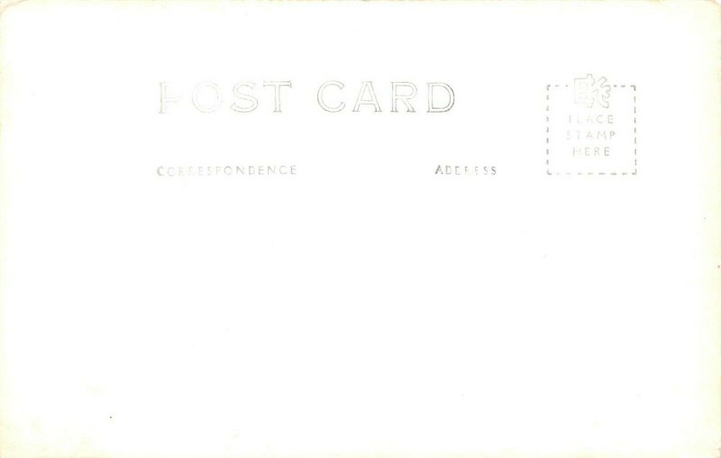 LP01 Cherry Creek  New York RPPC  Postcard  cows cattle