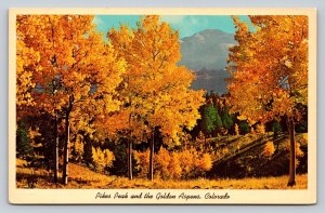 Pikes Peak & The Golden Aspens of Colorado Vintage Postcard 0831