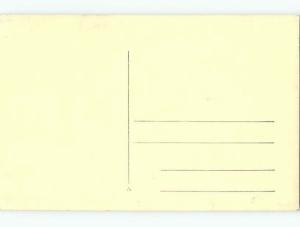 old rppc BUILDING THROUGH TREES Zagreb Croatia HM1606