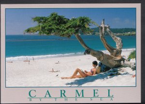 America Postcard - Carmel By The Sea, Carmel Beach, California  RR1640