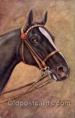 Artist Signed George Rankin Horse 1956 minor wear right bottom corner, rest o...