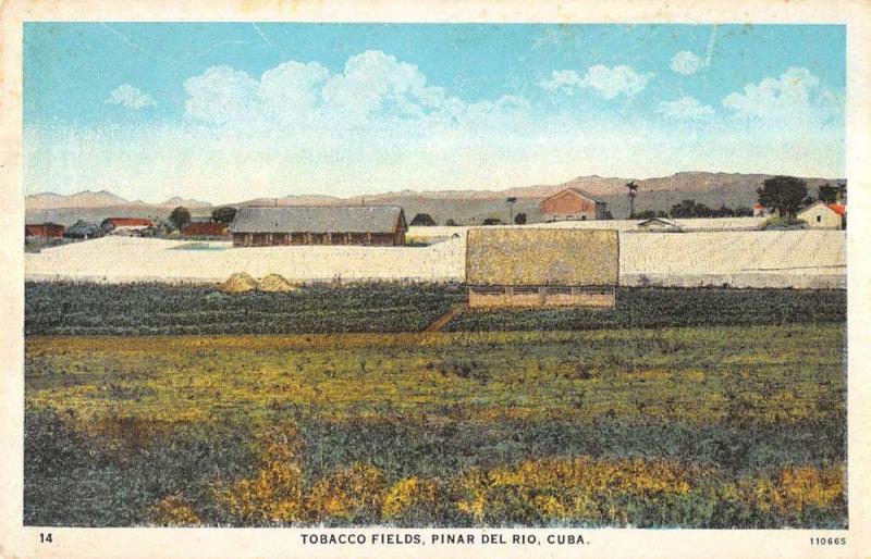 Pinar Del Rio Cuba panoramic birds eye view Tobacco Fields antique pc ZA440616