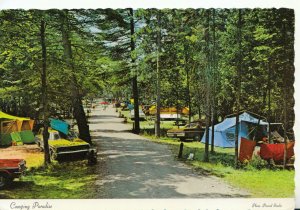 Canada Postcard - Arnolds Cove - Newfoundland - Camping Paradise - Ref TZ5070