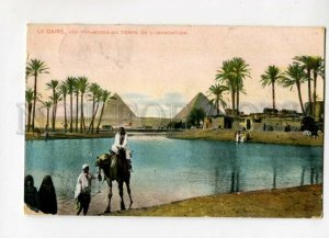 3099028 EGYPT Caire les Pyramides CAMEL old POST from Egypt