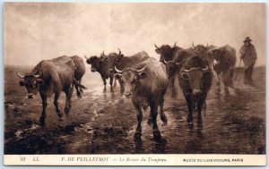 Postcard - Return of the Herd By Vuillefroy, Musée du Luxembourg - Paris, France